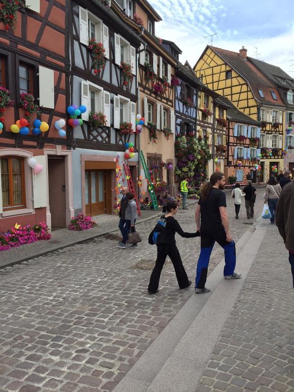 Les Appartements De Home Petite Venise Colmar Bagian luar foto