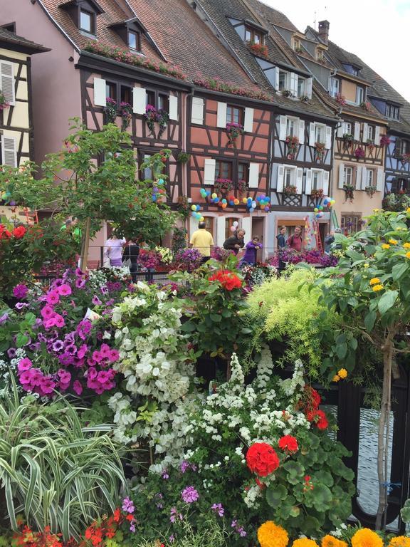 Les Appartements De Home Petite Venise Colmar Bagian luar foto