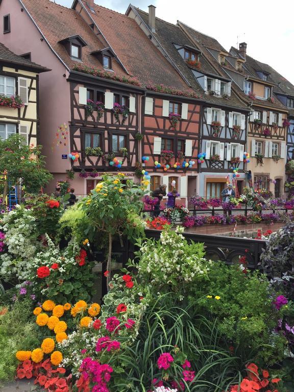 Les Appartements De Home Petite Venise Colmar Bagian luar foto