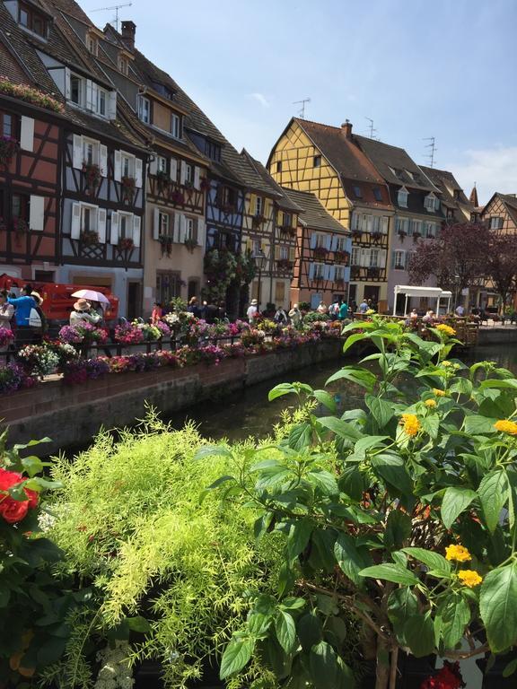 Les Appartements De Home Petite Venise Colmar Bagian luar foto