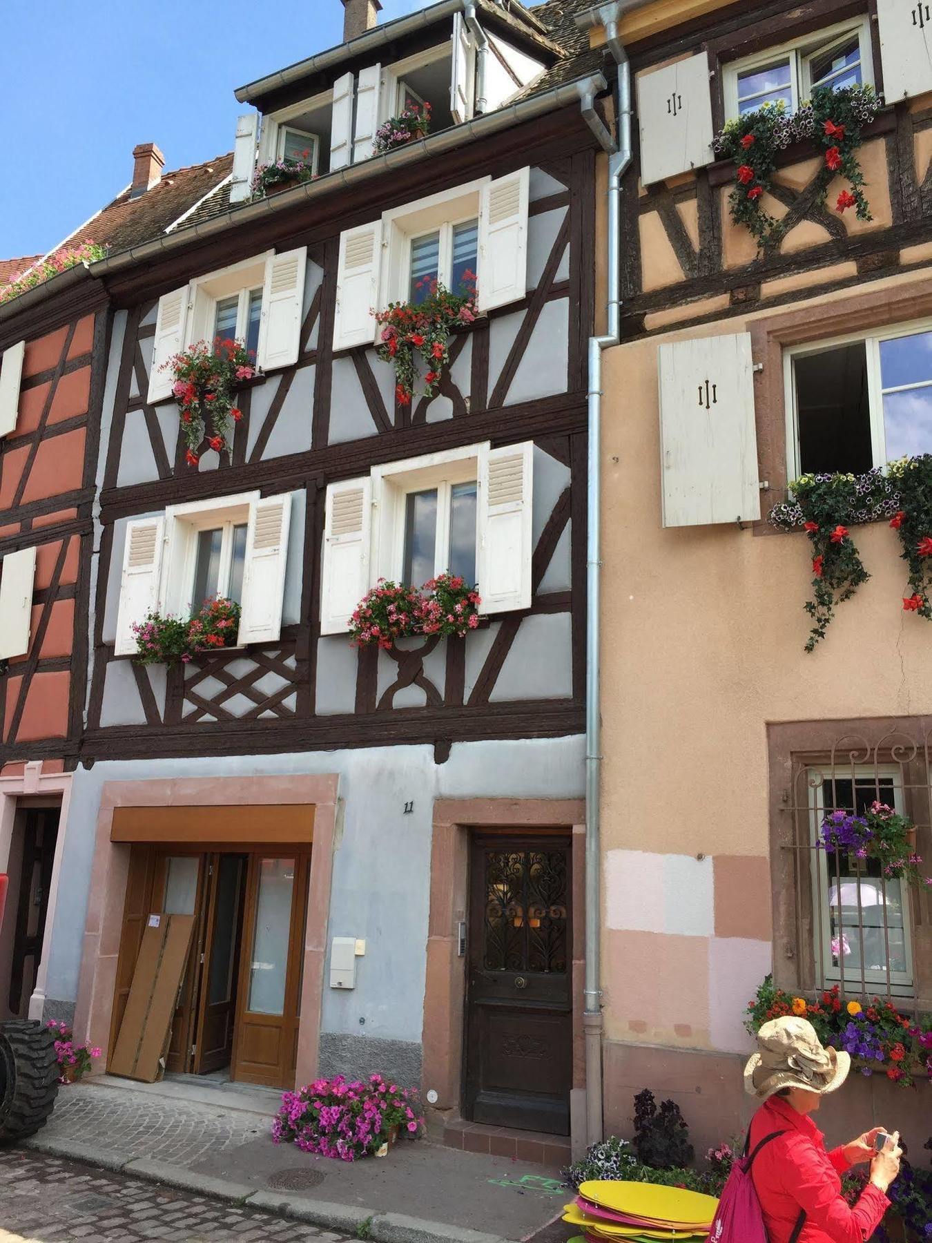 Les Appartements De Home Petite Venise Colmar Bagian luar foto