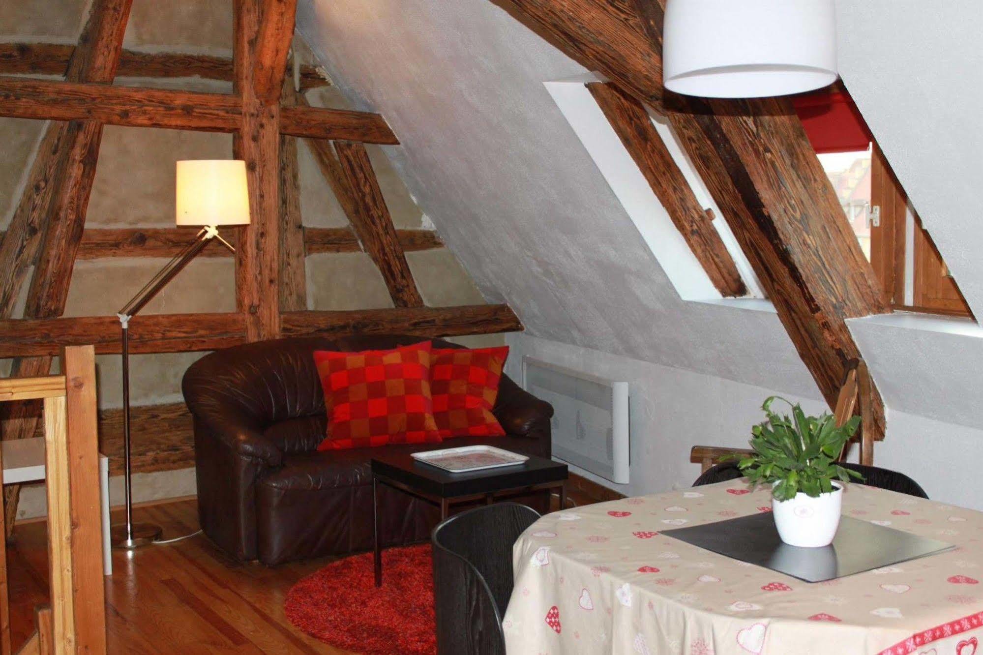 Les Appartements De Home Petite Venise Colmar Bagian luar foto